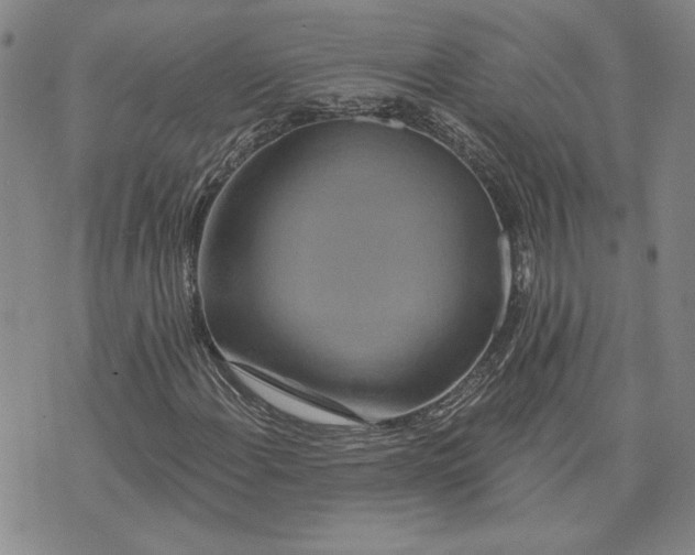 X0000071821108200607141628