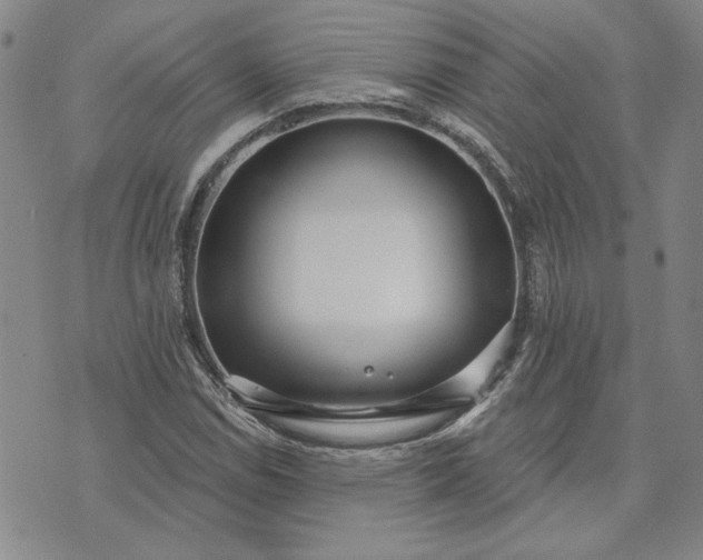 X0000071821114200607141628