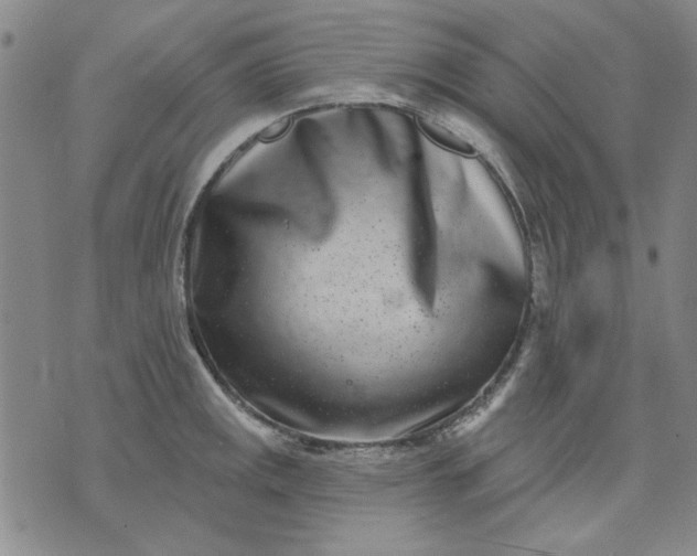 X0000071821141200607141629