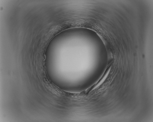 X0000071821153200607141628