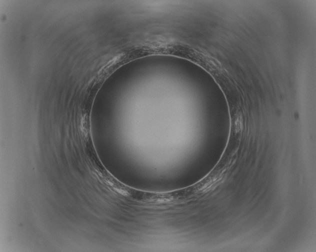 X0000071821156200607141628