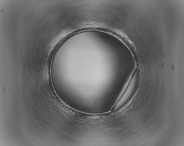 X0000071821167200607141628