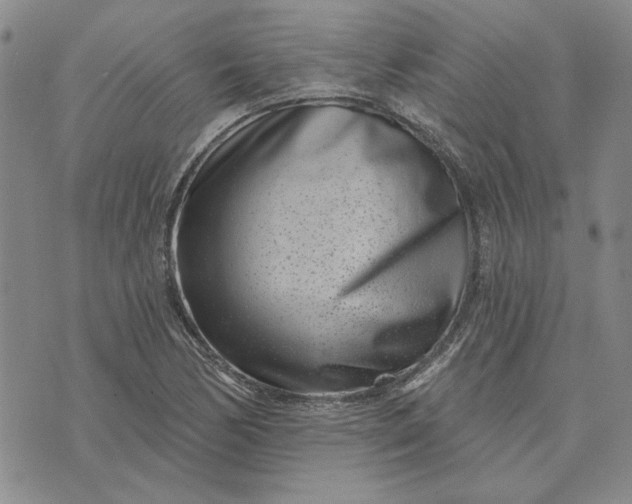 X0000071821170200607141628
