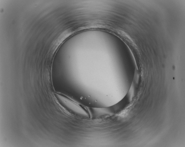 X0000071821177200607141628