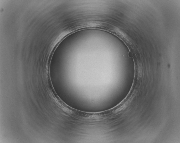 X0000071821178200607141628