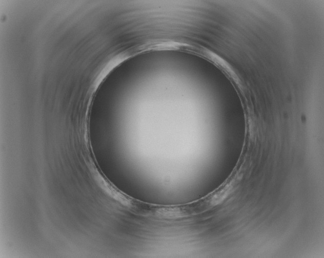 X0000071821194200607141627