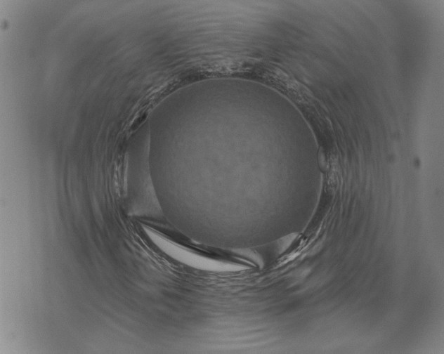 X0000071821202200607141627