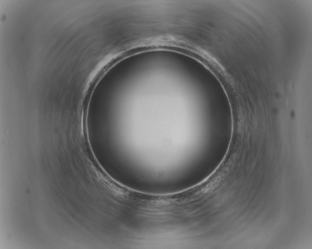 X0000071821224200607141627