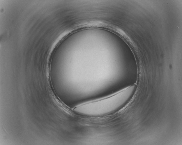 X0000071821232200607141627