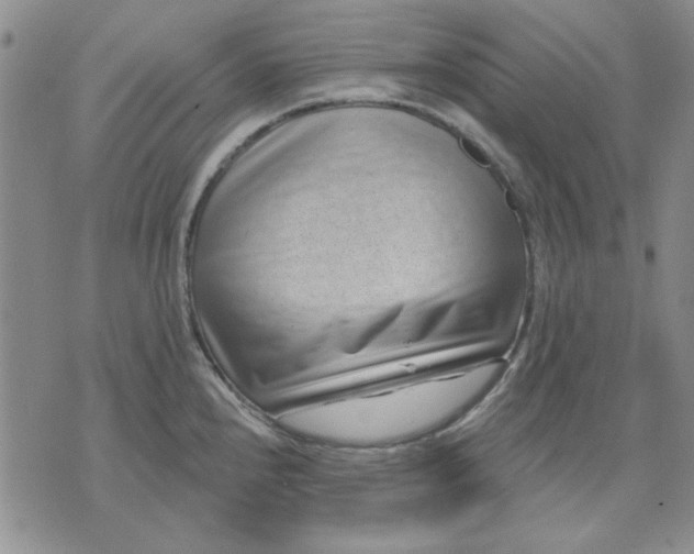 X0000071821240200607141627