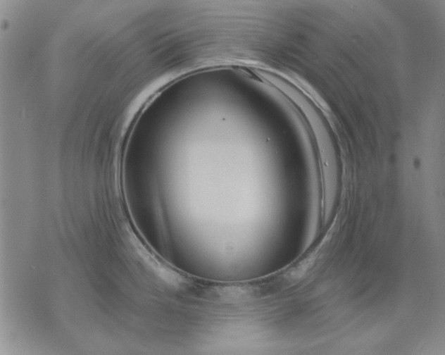 X0000071821246200607141627