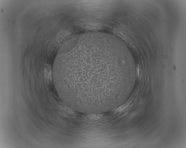 X0000071821251200607141627