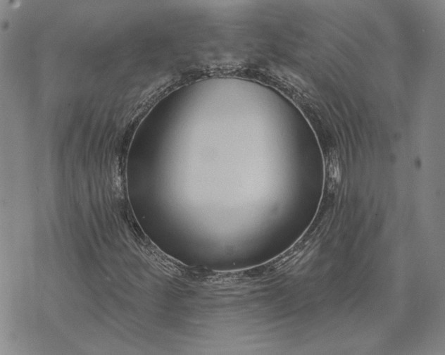 X0000071821252200607141627