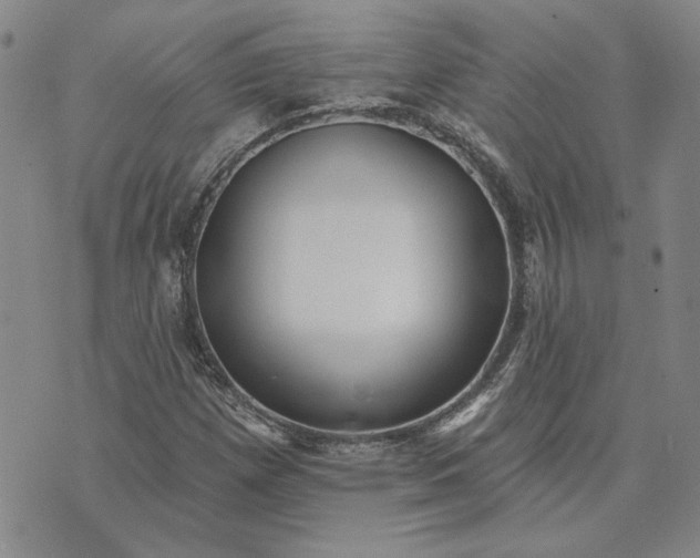 X0000071821257200607141626