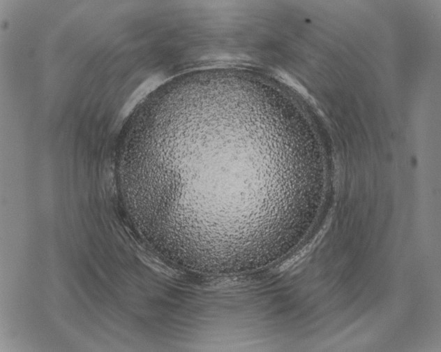 X0000071821259200607141626