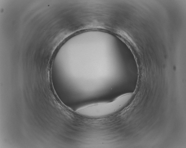X0000071821268200607141626