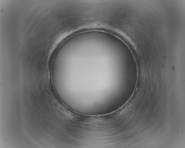 X0000071821270200607141626