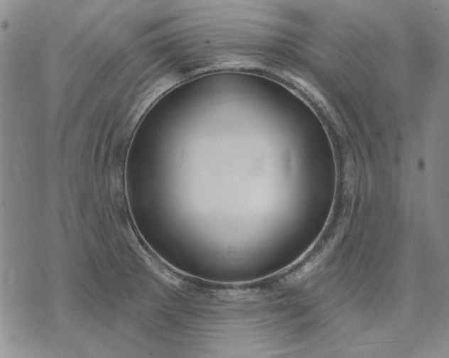 X0000071821281200607141626