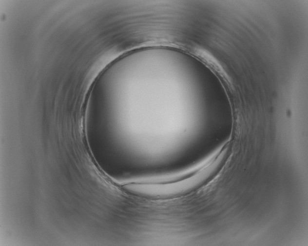 X0000071821284200607141626