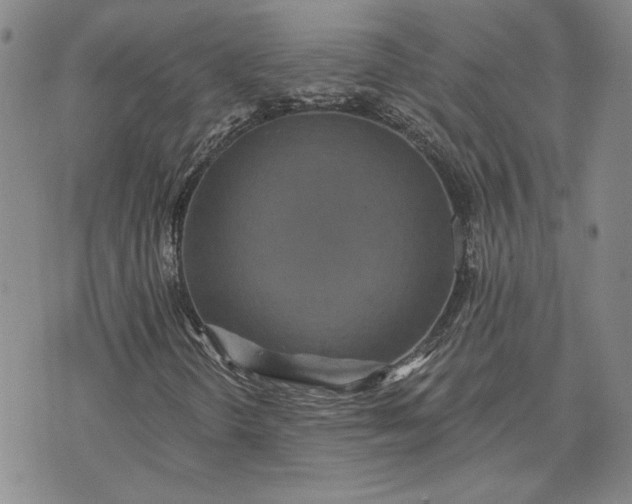 X0000071821298200607141625