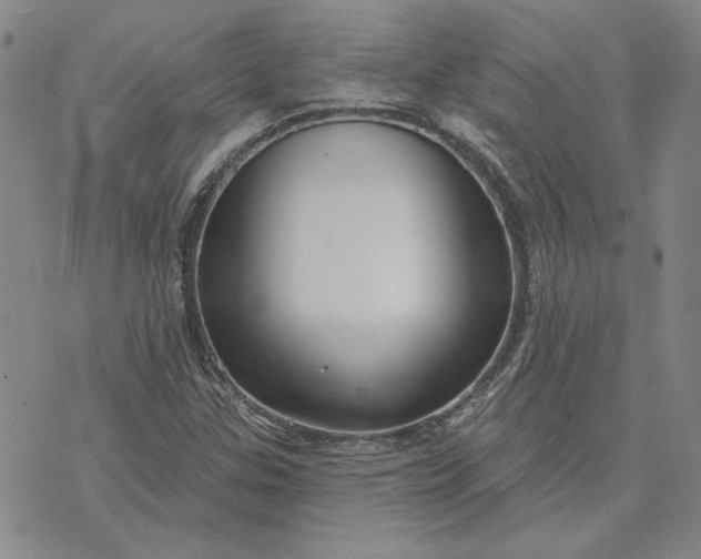 X0000071821307200607141625