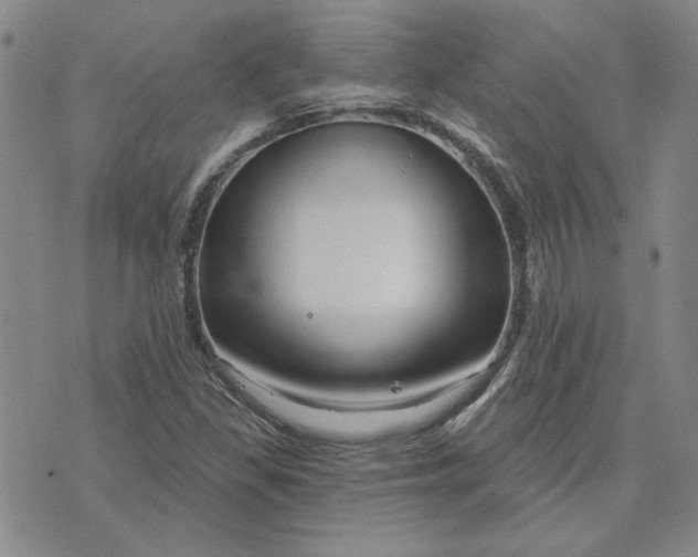 X0000071821309200607141625