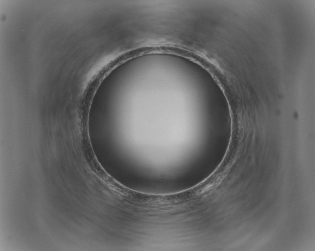 X0000071821311200607141625