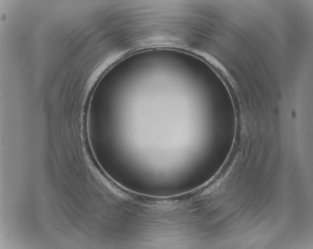 X0000071821333200607141626