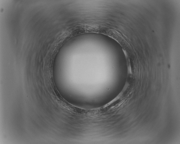 X0000071821345200607141625
