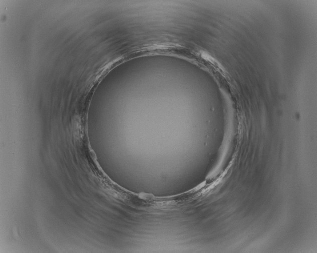 X0000071821353200607141625