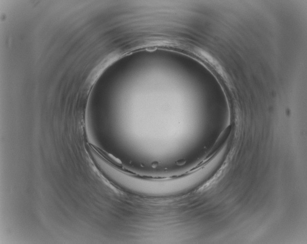 X0000071821377200607141624