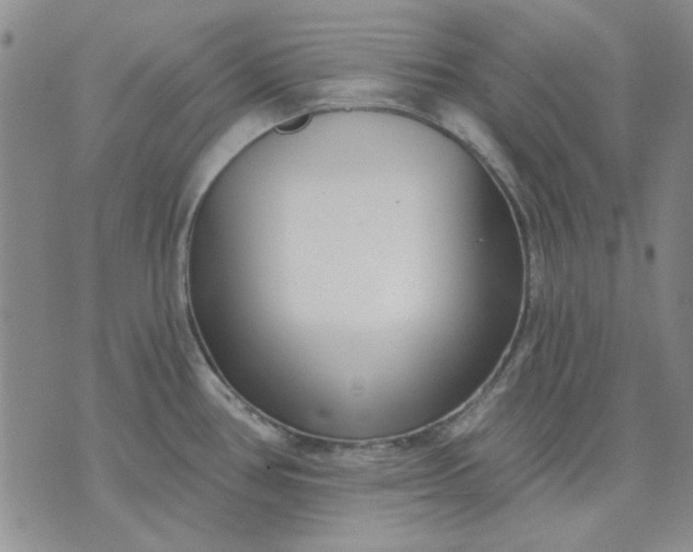 X0000071821386200607141624