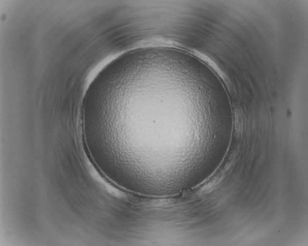 X0000071821387200607141624