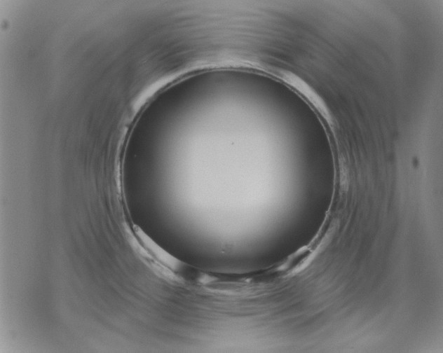 X0000071821388200607141624