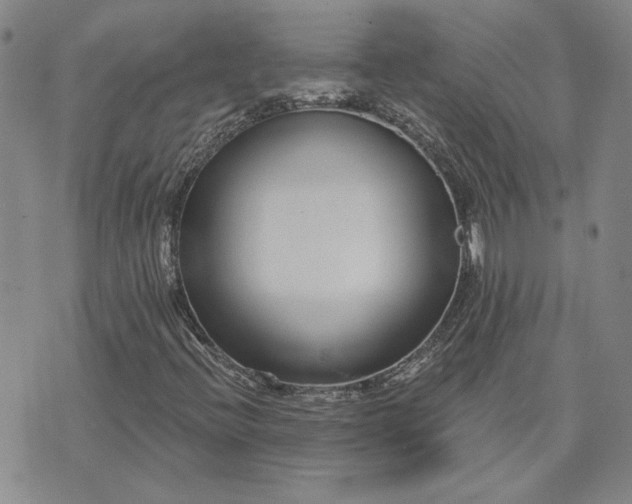 X0000071821396200607141624