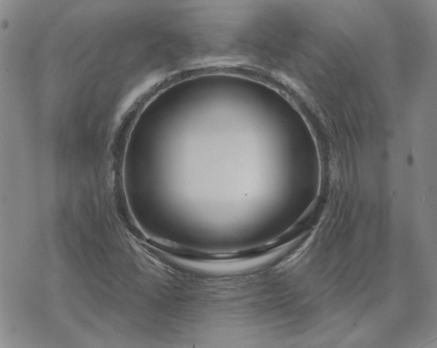 X0000071821406200607141624
