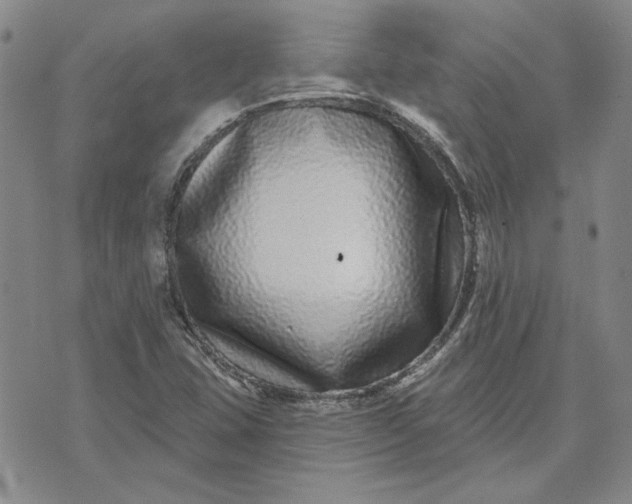 X0000071821407200607141624