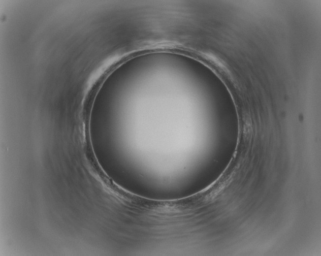 X0000071821414200607141624