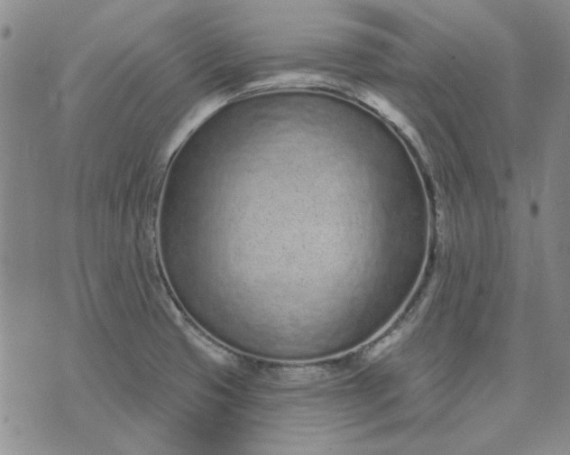 X0000071821425200607141624