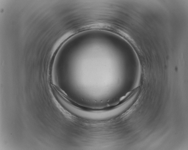 X0000071821426200607141624