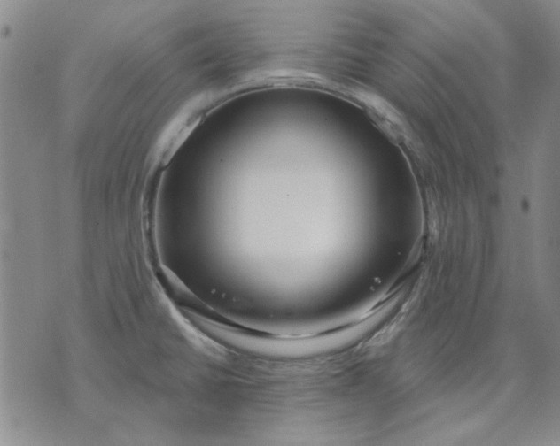 X0000071821430200607141624