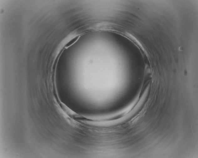 X0000071821434200607141624