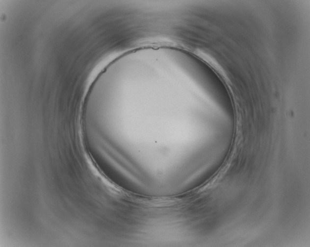 X0000071821440200607141624
