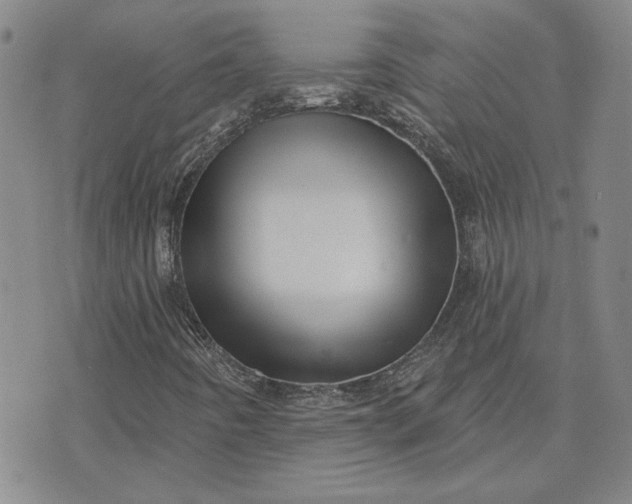 X0000071821442200607141623