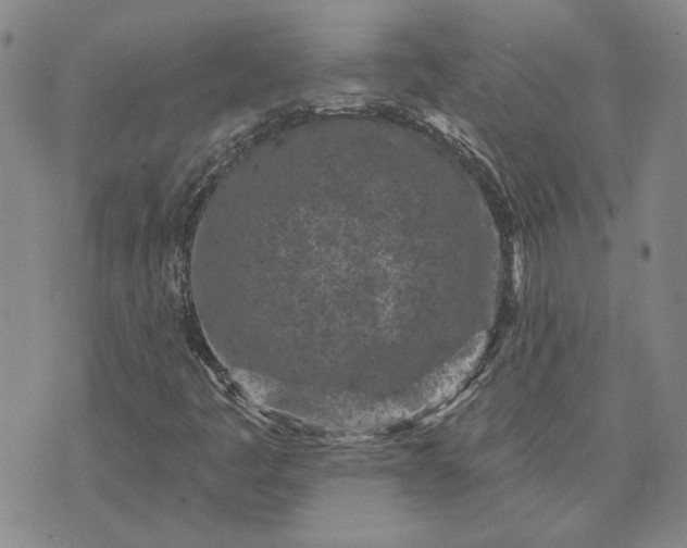 X0000071821445200607141623