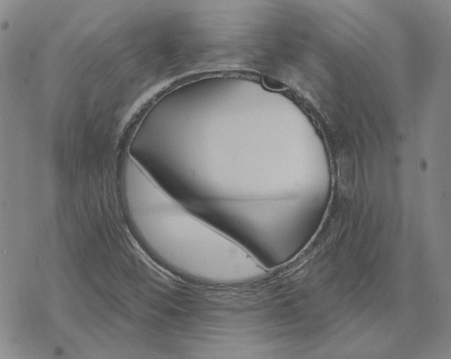 X0000071821452200607141623