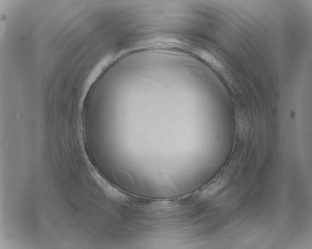 X0000071821478200607141623
