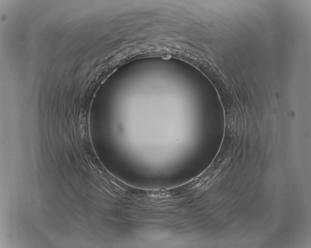 X0000071821490200607141622