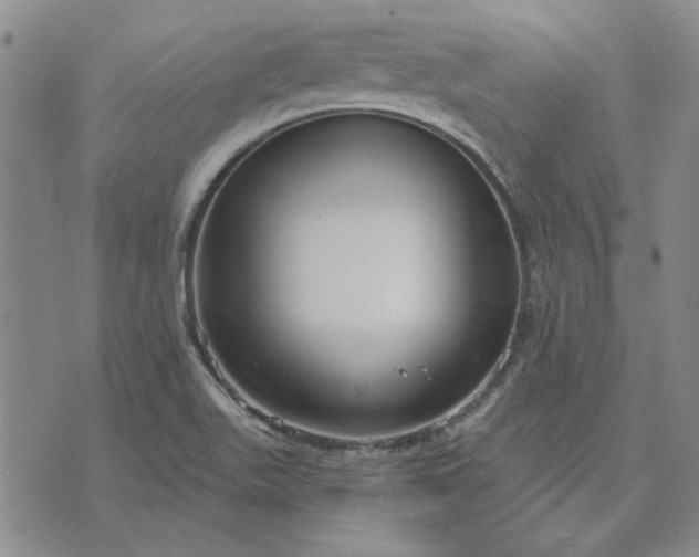 X0000071821511200607141622