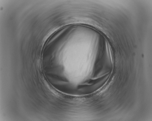 X0000071821513200607141622